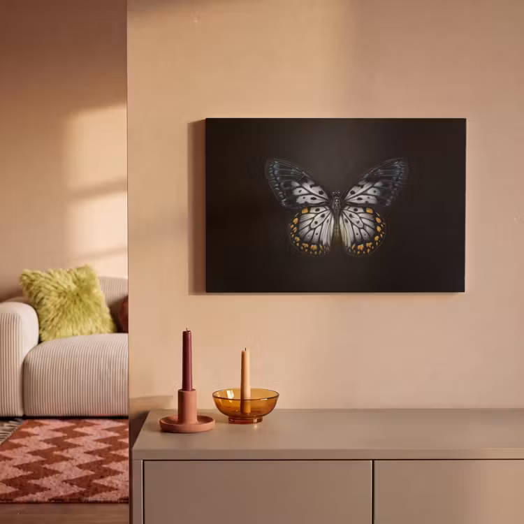 Vlinder - Monochroom - Balans canvas 2cm klein -sfeer1