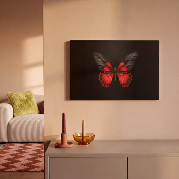 Vlinder - Rood - Contrast canvas 2cm klein -sfeer1