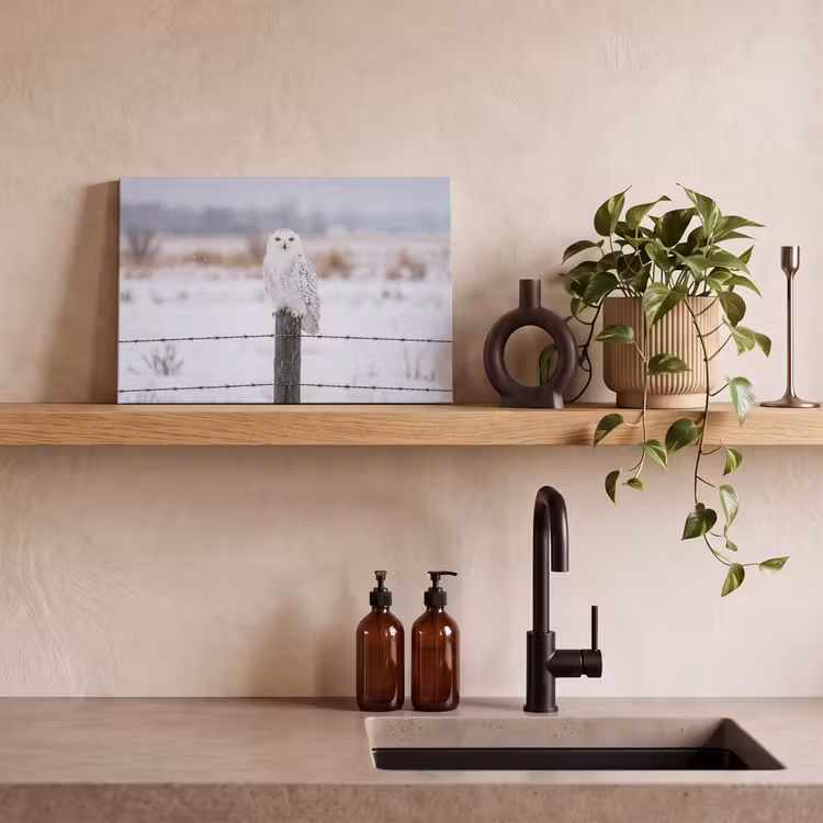 Sneeuwuil - Hek - Sneeuw - Wit canvas 2cm klein -sfeer3