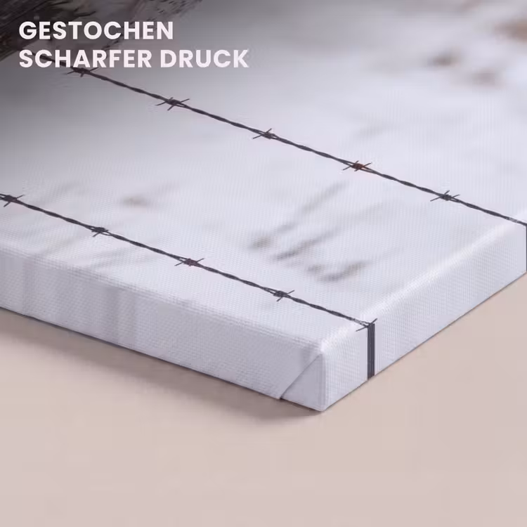 Sneeuwuil - Hek - Sneeuw - Wit canvas 2cm klein -closeup_print_DE
