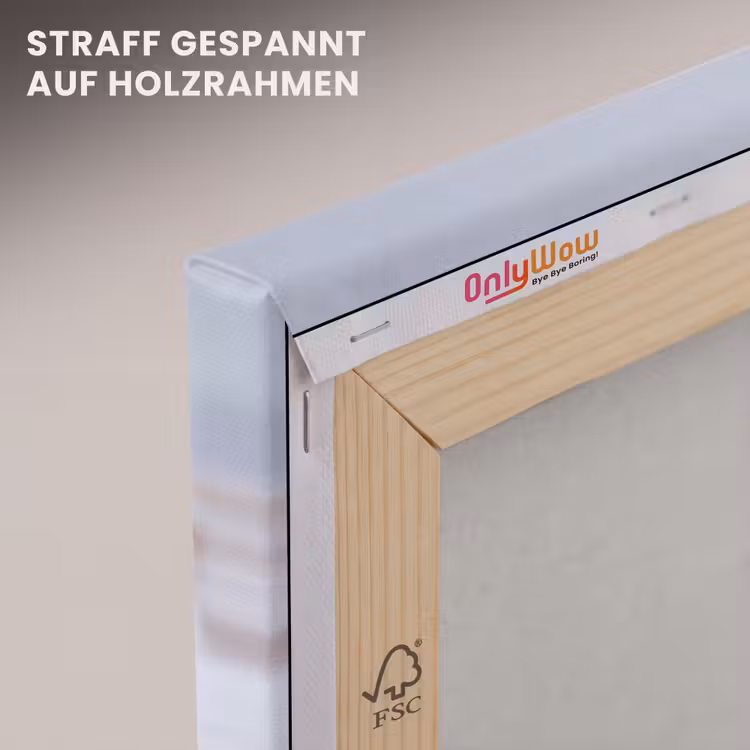 Sneeuwuil - Hek - Sneeuw - Wit canvas 2cm klein -uniquesellingpoint_afwerking-onlywow_DE