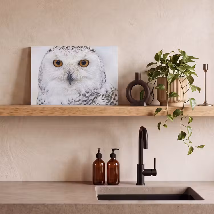 Sneeuwuil - Oog - Wildlife - Wit canvas 2cm klein -closeup_print_DE