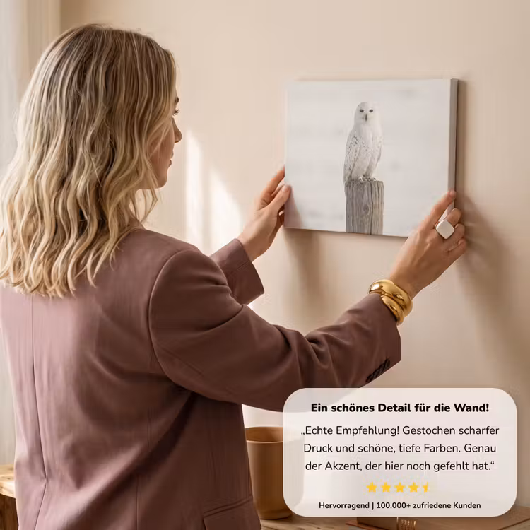 Sneeuwuil - Paal - Winter - Portret - Majestueus canvas 2cm klein -sfeer3