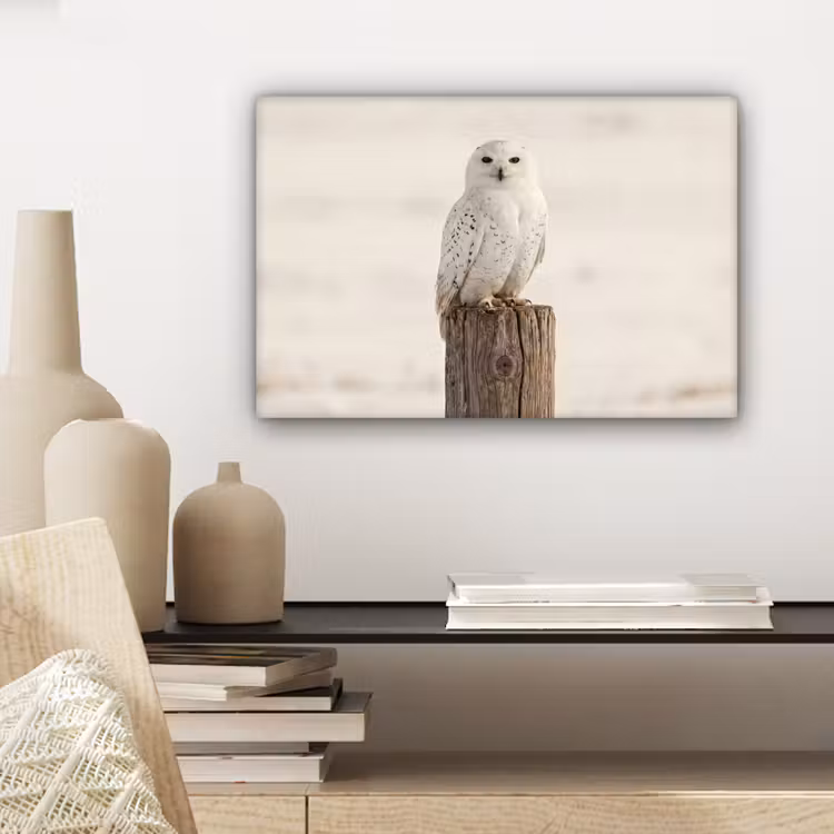 Sneeuwuil - Paal - Winter - Portret - Majestueus canvas 2cm klein -closeup_print_DE