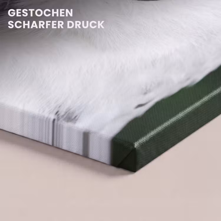 Sneeuwuil - Portret - Geel canvas 2cm klein -closeup_print_DE