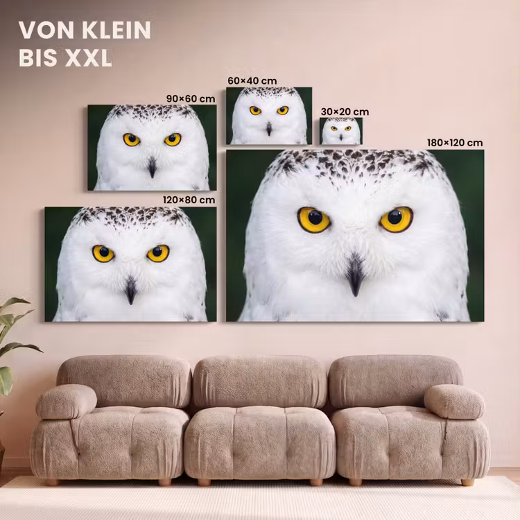 Sneeuwuil - Portret - Geel canvas 2cm klein -Xsfeer8_DE