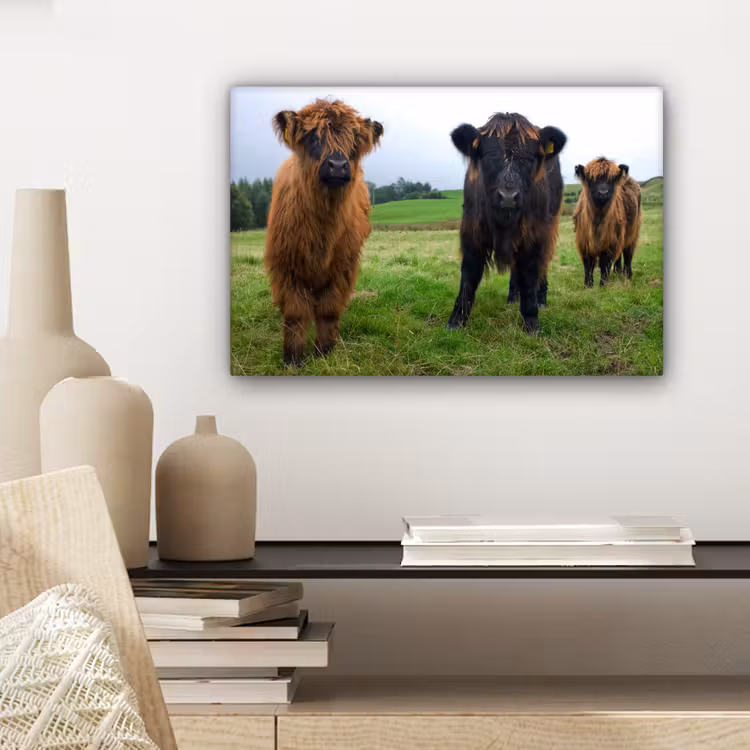 Schotse hooglander - Koeien - Natuur - Groen - Gras canvas 2cm klein -sfeer6