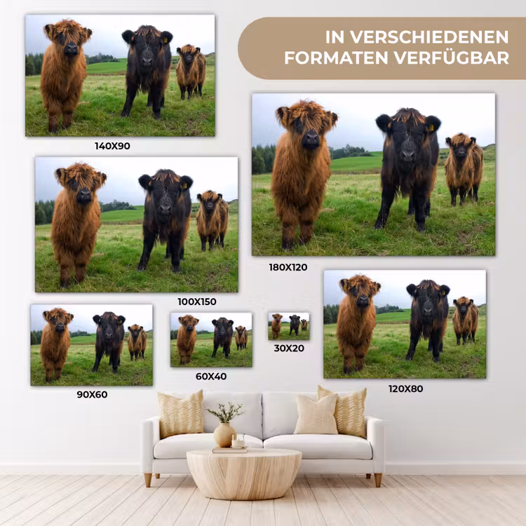 Schotse hooglander - Koeien - Natuur - Groen - Gras canvas 2cm klein -Xsfeer8_DE