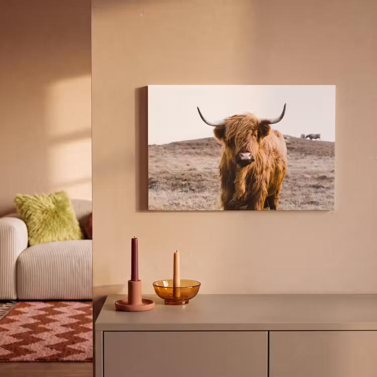 Schotse hooglander - Landschap - Koe - Bruin - Dieren - Natuur canvas 2cm klein -sfeer1