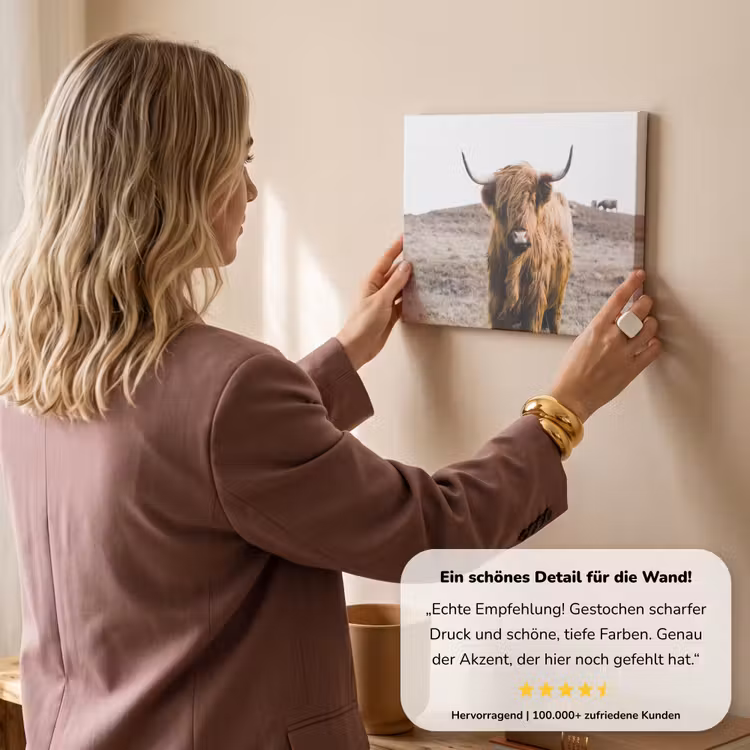 Schotse hooglander - Landschap - Koe - Bruin - Dieren - Natuur canvas 2cm klein -Xsfeer7_DE
