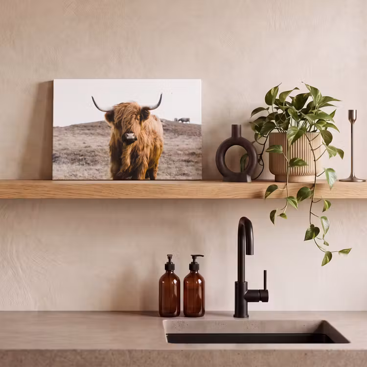 Schotse hooglander - Landschap - Koe - Bruin - Dieren - Natuur canvas 2cm klein -sfeer3