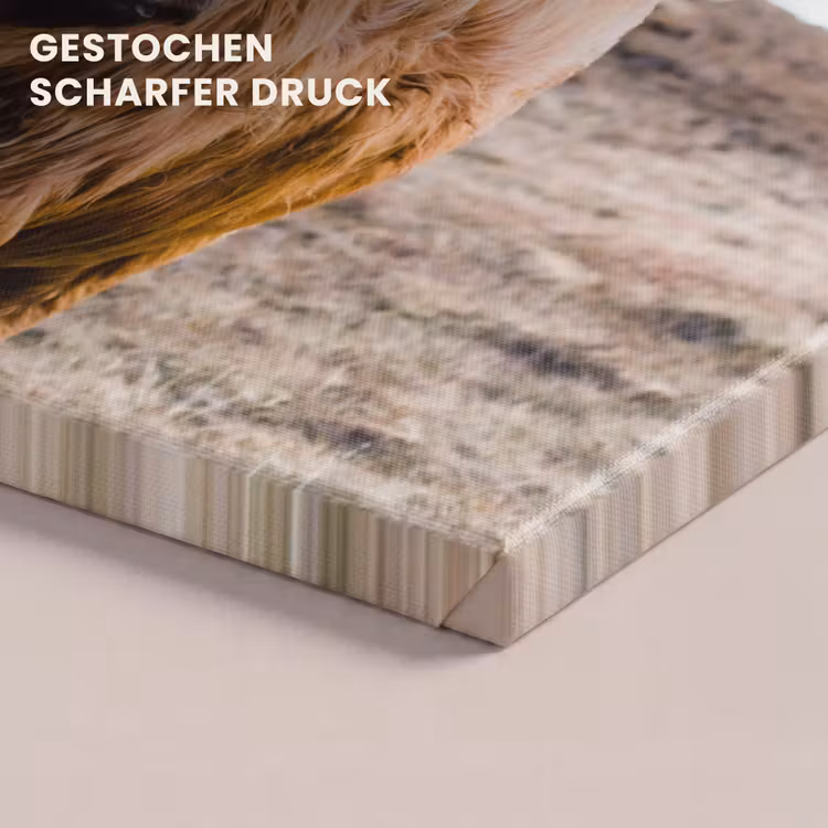 Schotse hooglander - Landschap - Koe - Bruin - Dieren - Natuur canvas 2cm klein -closeup_print_DE
