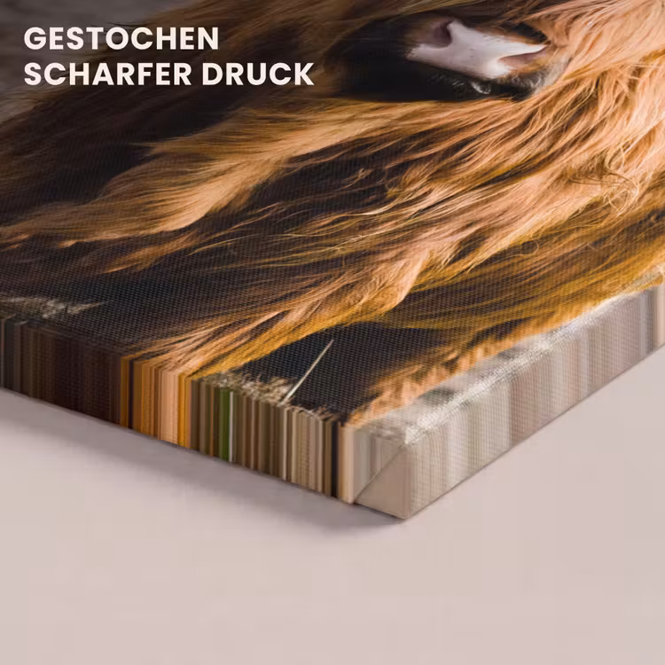 Schotse hooglander - Landschap - Koe - Bruin - Dieren - Natuur canvas 2cm klein -uniquesellingpoint_afwerking-onlywow_DE