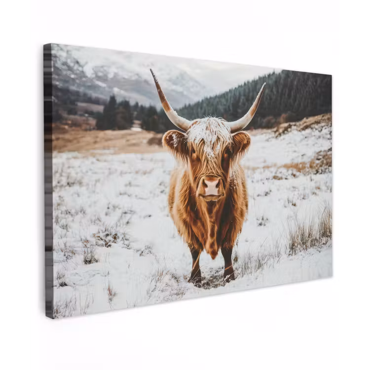 Schotse Hooglander - Landschap - Sneeuw - Bergen - Winter canvas 2cm klein -z3d