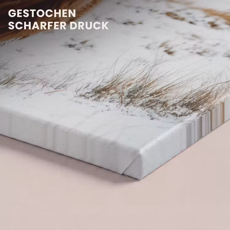Schotse Hooglander - Landschap - Sneeuw - Bergen - Winter canvas 2cm klein -uniquesellingpoint_afwerking-onlywow_DE
