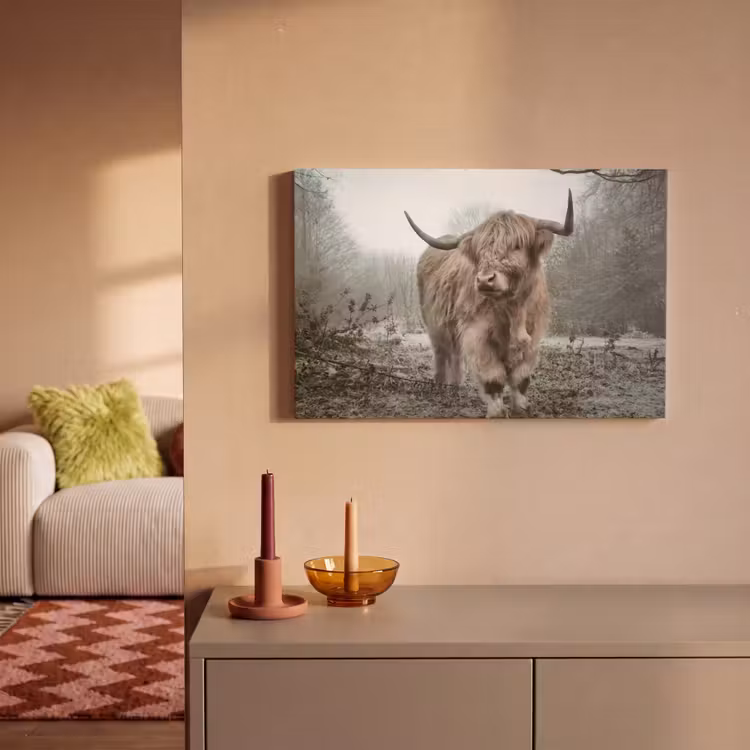 Schotse hooglander - Natuur - Herfst - Dieren - Wild - Bos canvas 2cm klein -sfeer1