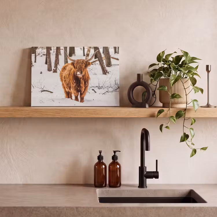 Schotse Hooglander - Sneeuw - Winter - Natuur - Dieren canvas 2cm klein -closeup_print_DE