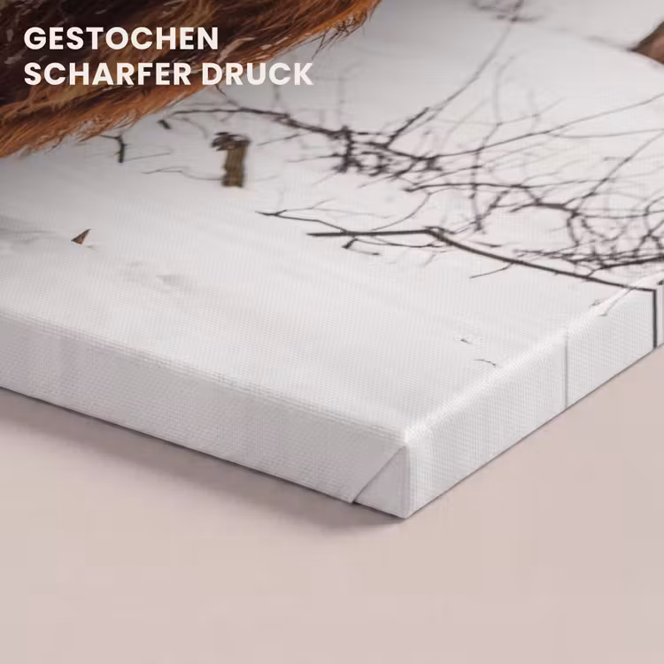 Schotse Hooglander - Sneeuw - Winter - Natuur - Dieren canvas 2cm klein -uniquesellingpoint_afwerking-onlywow_DE