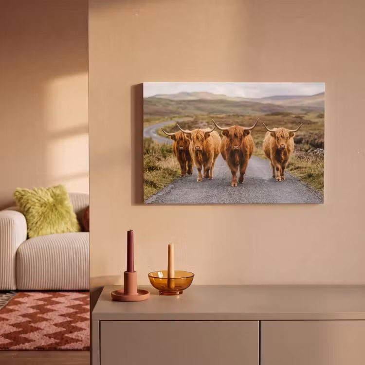 Schotse Hooglanders - Weg - Landschap - Kudde canvas 2cm klein -sfeer1