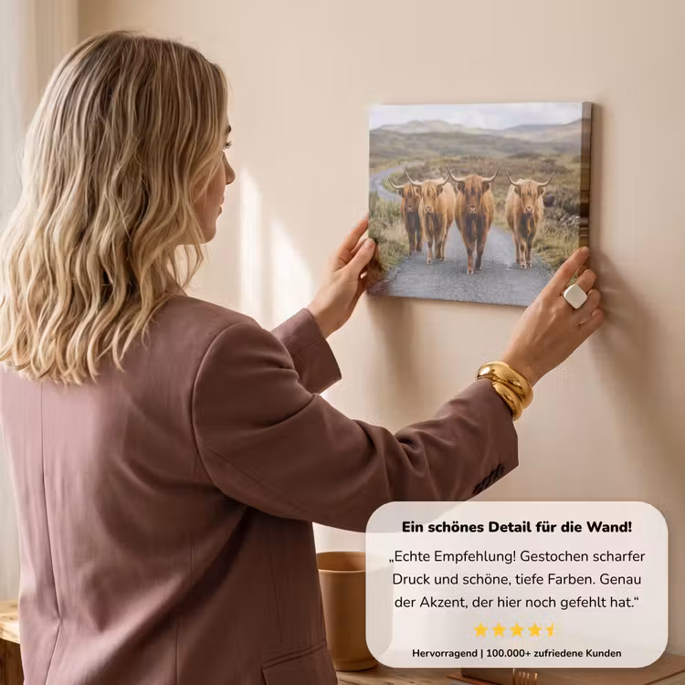 Schotse Hooglanders - Weg - Landschap - Kudde canvas 2cm klein -sfeer3