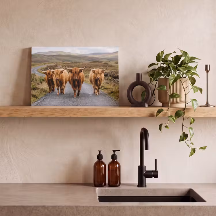 Schotse Hooglanders - Weg - Landschap - Kudde canvas 2cm klein -closeup_print_DE