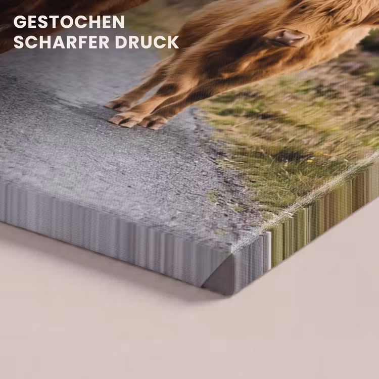 Schotse Hooglanders - Weg - Landschap - Kudde canvas 2cm klein -uniquesellingpoint_afwerking-onlywow_DE