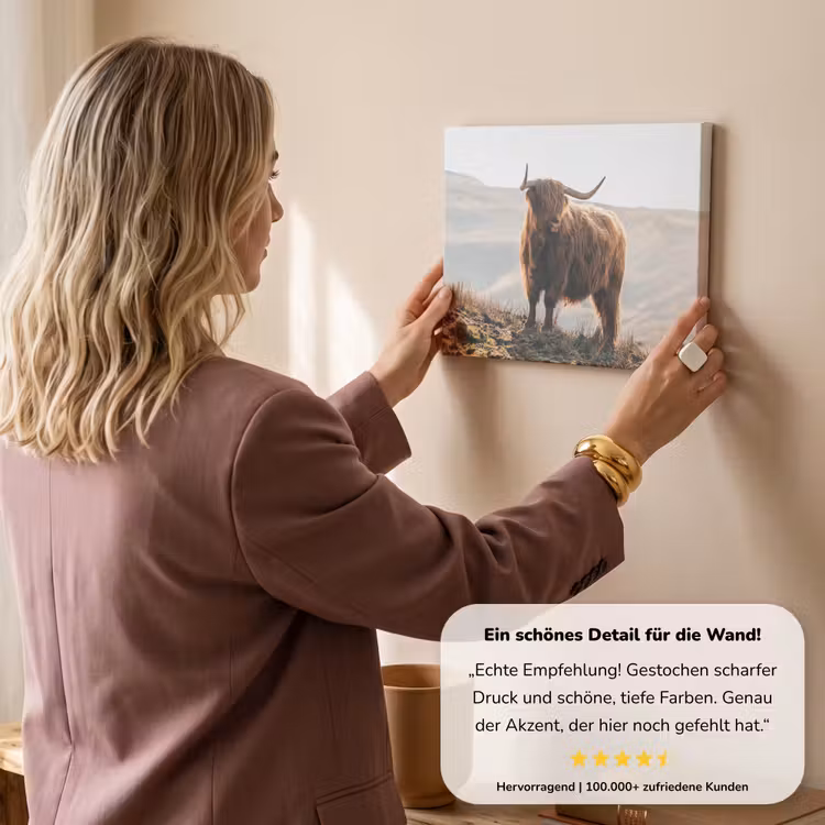 Schotse hooglander - Dieren - Landelijk - Landschap - Koe - Natuur canvas 2cm klein -Xsfeer7_DE