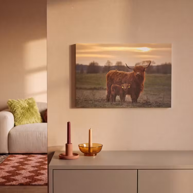 Schotse hooglander - Dieren - Landschap - Zonsondergang - Koe canvas 2cm klein -sfeer1