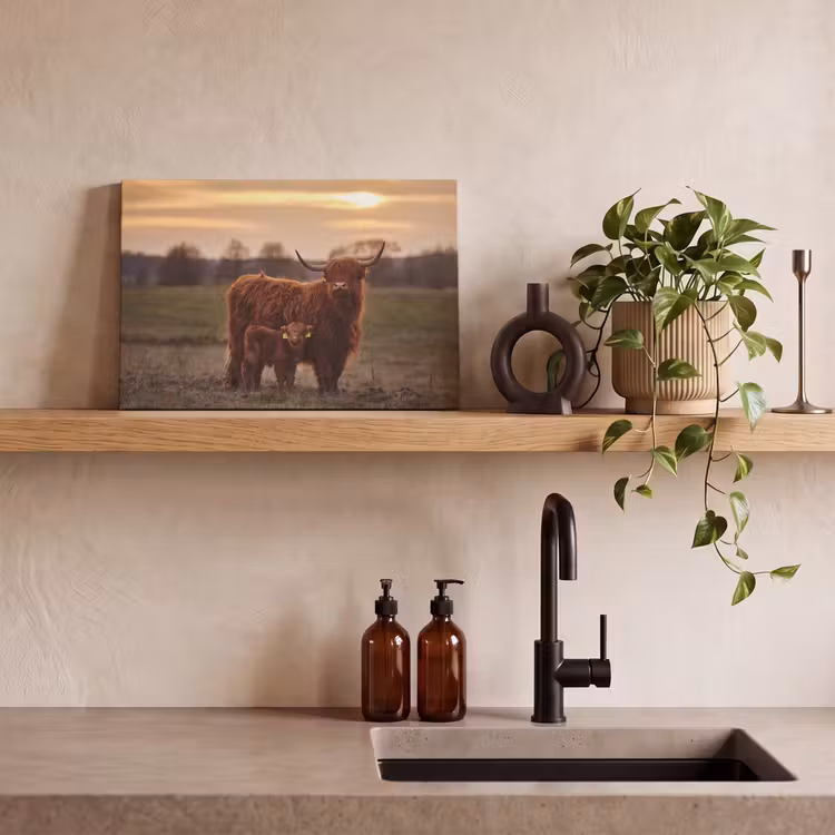 Schotse hooglander - Dieren - Landschap - Zonsondergang - Koe canvas 2cm klein -sfeer3