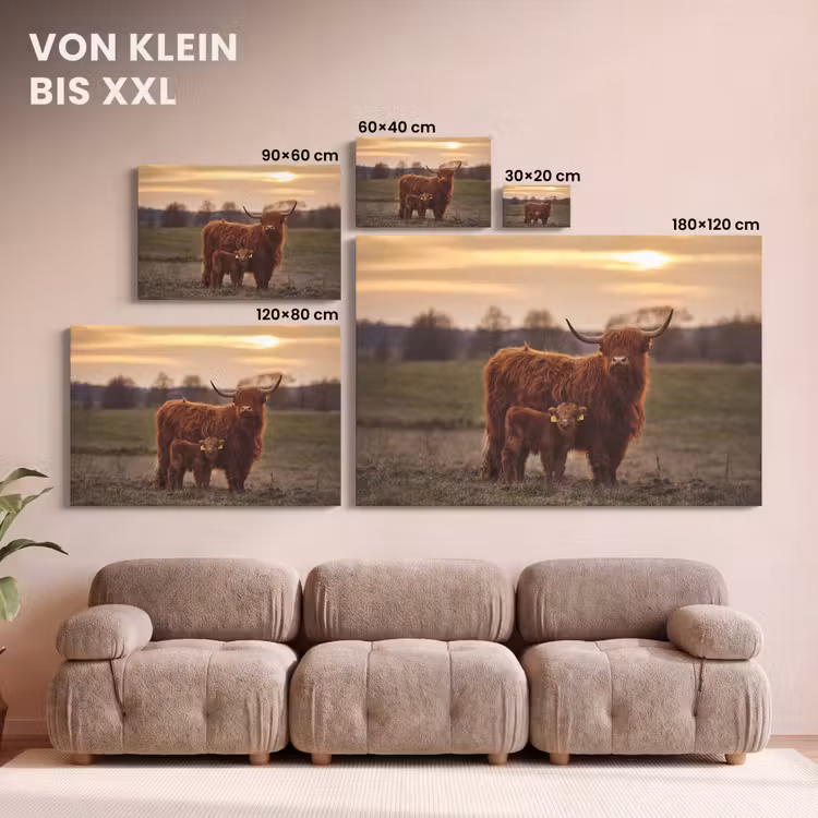 Schotse hooglander - Dieren - Landschap - Zonsondergang - Koe canvas 2cm klein -Xsfeer8_DE