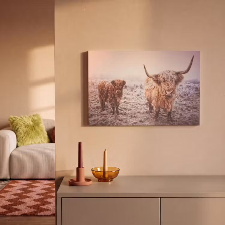 Schotse hooglanders - Licht - Lucht - Natuur canvas 2cm klein -sfeer1