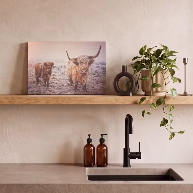 Schotse hooglanders - Licht - Lucht - Natuur canvas 2cm klein -sfeer3