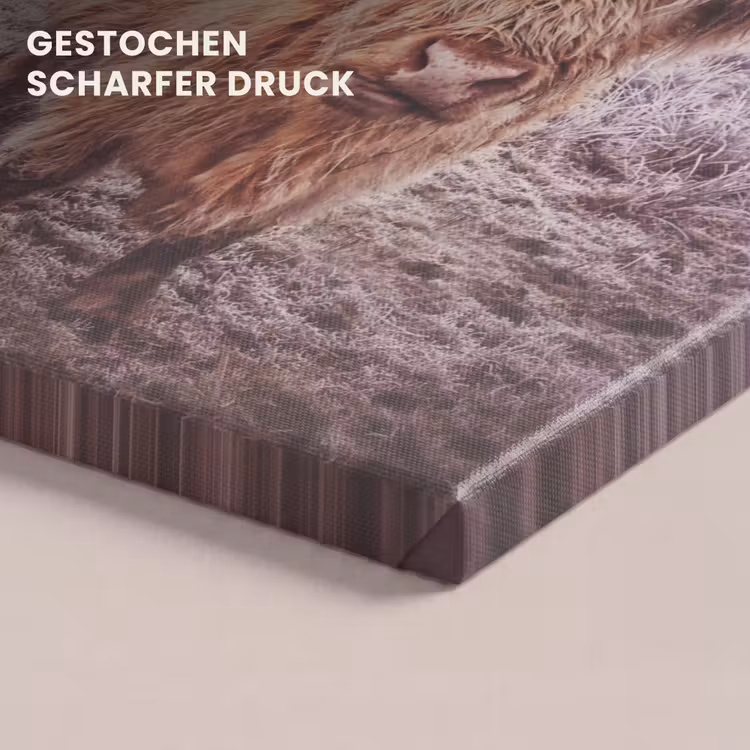 Schotse hooglanders - Licht - Lucht - Natuur canvas 2cm klein -closeup_print_DE