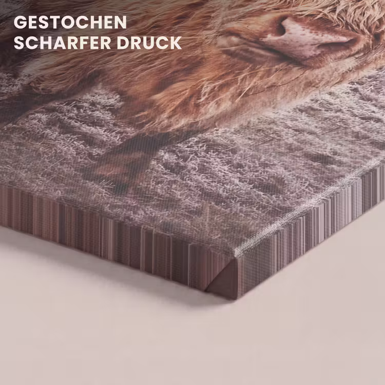 Schotse hooglanders - Licht - Lucht - Natuur canvas 2cm klein -uniquesellingpoint_afwerking-onlywow_DE