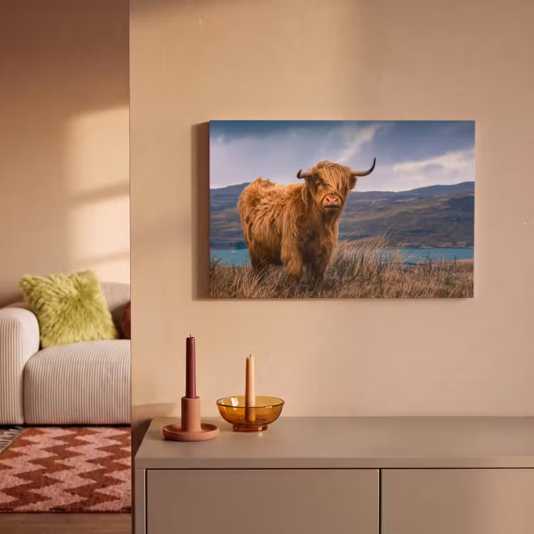 Schotse Hooglander - Berg - Water - Natuur - Koe canvas 2cm klein -sfeer1