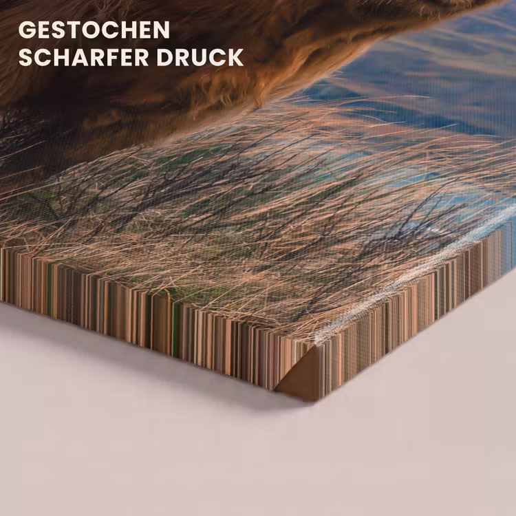 Schotse Hooglander - Berg - Water - Natuur - Koe canvas 2cm klein -uniquesellingpoint_afwerking-onlywow_DE