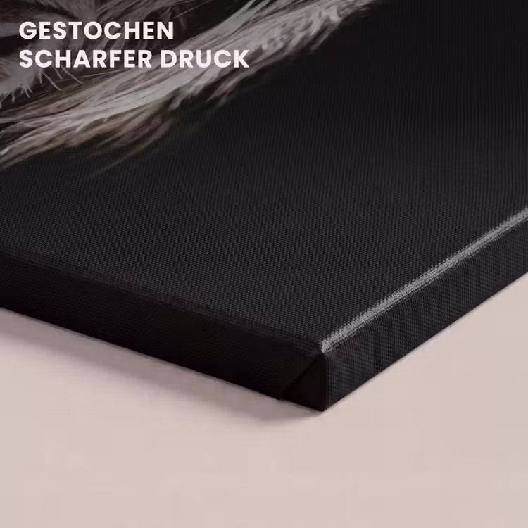 Schotse hooglander - Goud - Hoorns - Zwart wit - Koe - Dieren canvas 2cm klein -closeup_print_DE