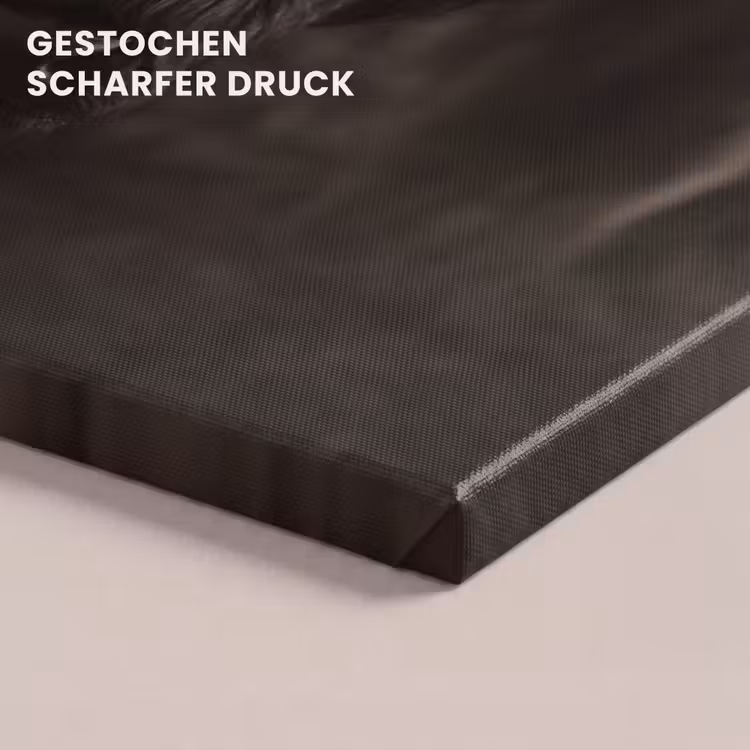 Schotse hooglander - Goud - Koebel - Hoorns - Dieren canvas 2cm klein -Xsfeer8_DE