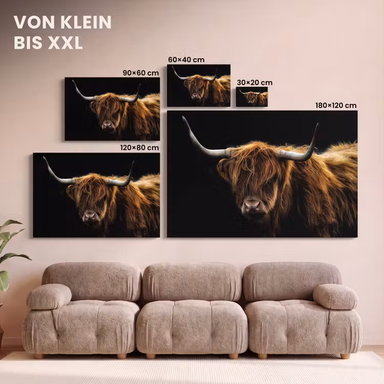 Schotse Hooglander - Horens - Zwart - Dieren - Natuur - Wild - Koe canvas 2cm klein -Xsfeer8_DE