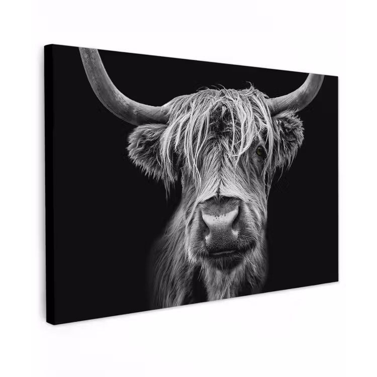 Schotse Hooglander - Horens - Zwart - Wit - Koe - Wild - Dieren canvas 2cm klein -z3d