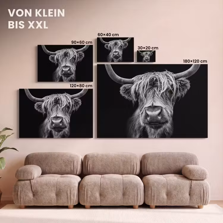 Schotse Hooglander - Horens - Zwart - Wit - Koe - Wild - Dieren canvas 2cm klein -Xsfeer8_DE