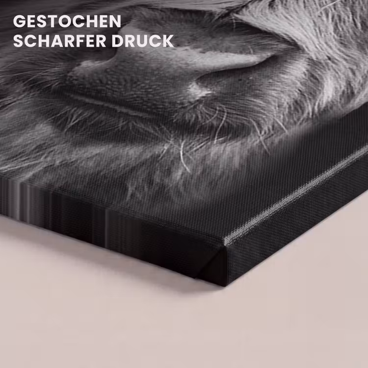 Schotse Hooglander - Horens - Zwart - Wit - Koe - Wild - Dieren canvas 2cm klein -uniquesellingpoint_afwerking-onlywow_DE