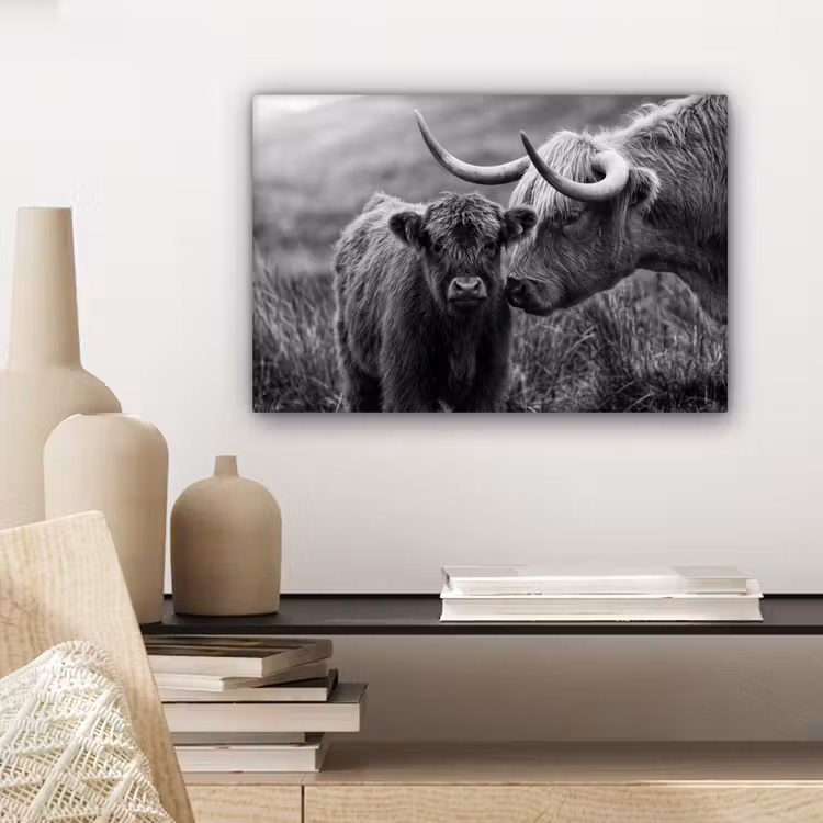 Schotse hooglander - Kalf - Zwart - Wit canvas 2cm klein -closeup_print_DE