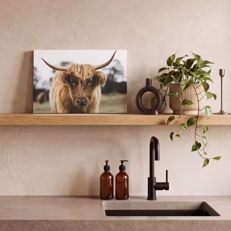 Schotse Hooglander - Koe - Gras - Dieren - Natuur canvas 2cm klein -sfeer3