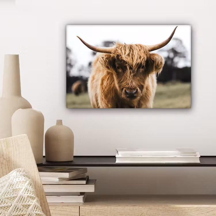 Schotse Hooglander - Koe - Gras - Dieren - Natuur canvas 2cm klein -sfeer6