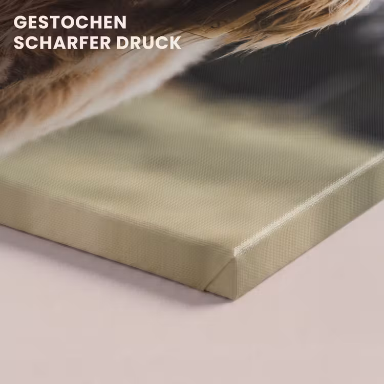 Schotse Hooglander - Koe - Gras - Dieren - Natuur canvas 2cm klein -closeup_print_DE