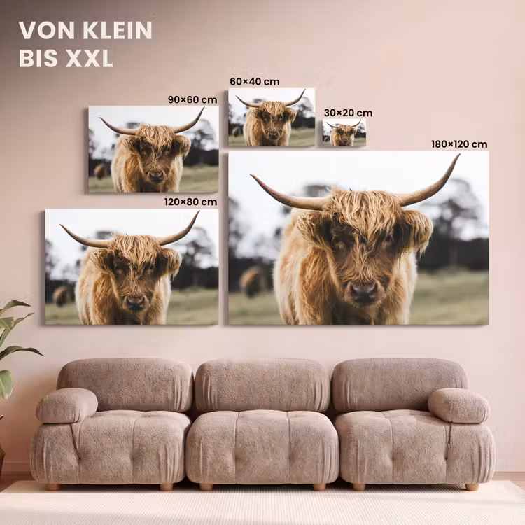Schotse Hooglander - Koe - Gras - Dieren - Natuur canvas 2cm klein -Xsfeer8_DE