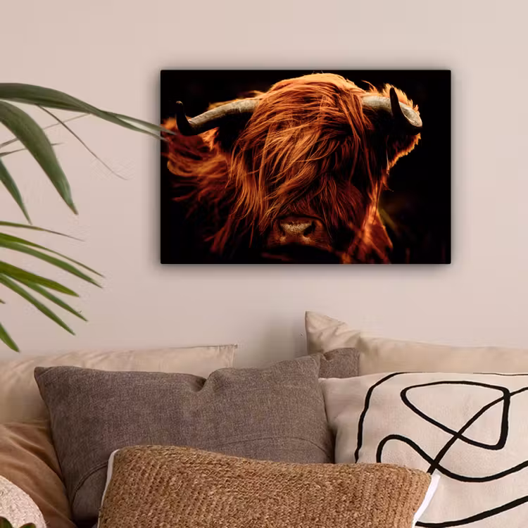 Schotse hooglander - Koe - Hoorns - Portret - Dieren canvas 2cm klein -sfeer1