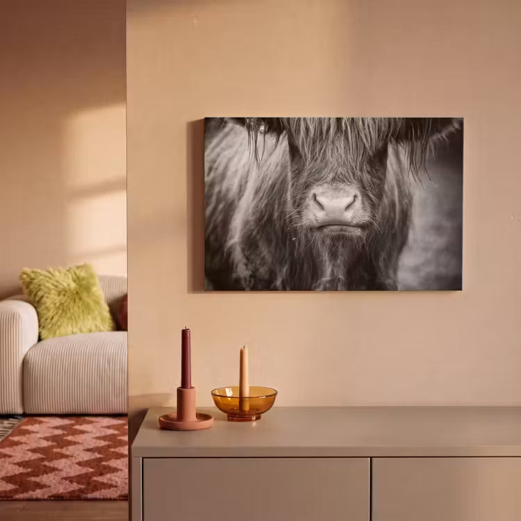 Schotse hooglander - Koe - Zwart - Wit - Dieren canvas 2cm klein -sfeer1