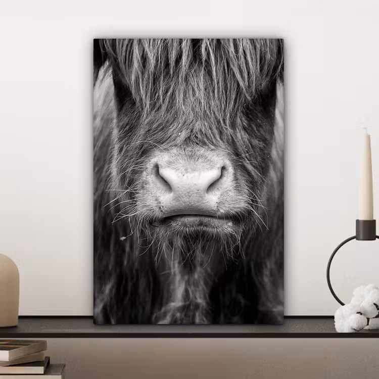 Schotse hooglander - Koe - Zwart - Wit - Dieren canvas 2cm klein -closeup_print_DE